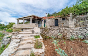 Beautiful Home In Zrnovo With Wifi